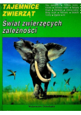 Tajemnice zwierząt Świat zwierzęcych zależności