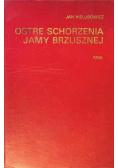 Ostre Schorzenia Jamy Brzusznej