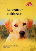 Pies na medal Labrador Retriever