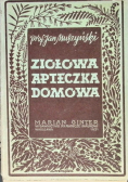 Ziołowa apteczka domowa