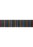 Biblioteka Gazety Wyborczej Wiek XIX Tom 1 do 30