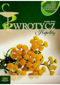 Orzech czarny