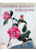 Ozdobne Rośliny Pokojowe