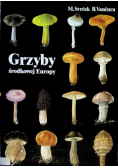 Grzyby środkowej Europy