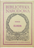 Homer Iliada