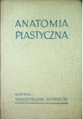 Anatomia plastyczna