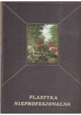 Plastyka nieprofesjonalna