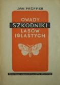 Owady szkodniki lasów iglastych