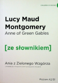 Anne of Green Gables Ania z Zielonego Wzgórza z podręcznym słownikiem Poziom A2 / B1