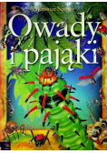 Tajemnice Natury Owady i pająki