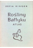 Rośliny Bałtyku