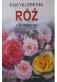 Encyklopedia róż