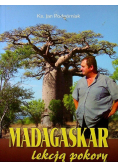 Madagaskar lekcją pokory