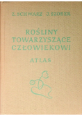 Rośliny towarzyszące człowiekowi