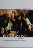 Wzięli Maryję do siebie Duchowość maryjna Świętych Karmelu