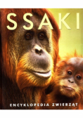 Ssaki encyklopedia zwierząt