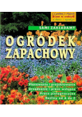 Sami zakładamy ogródek zapachowy