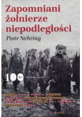 Zapomniani żołnierze niepodległości
