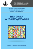 Big data w zarządzaniu