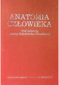 Anatomia człowieka