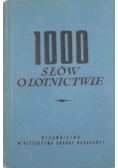 1000 słów o lotnictwie