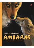 Ambaras