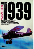 Polskie eskadry w latach 1918 - 1939