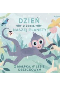Dzień z życia naszej planety Z małpką w lesie deszczowym