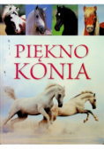 Piękno konia