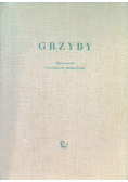 Grzyby