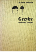 Grzyby środkowej Europy