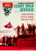 Szary wilk atakuje