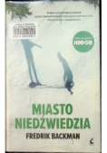 Miasto niedźwiedzia