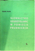 Słownictwo Dzierżysławic w powiecie prudnickim