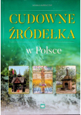Cudowne źródełka w Polsce
