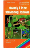 Owady i inne stawonogi lądowe Encyklopedia kieszonkowa