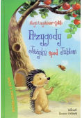 Bajki o zwierzętach Przygody Jeżyka spod Jabłoni