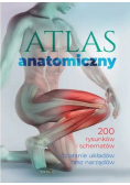 Atlas anatomiczny