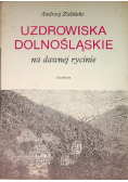 Uzdrowiska Dolnośląskie na dawnej rycinie