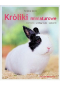 Króliki miniaturowe