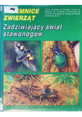 Tajemnice zwierząt Zadziwiający świat stawonogów