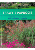 Trawy i paprocie