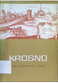 Krosno studia z dziejów miasta i regionu Tom I
