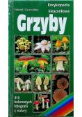 Grzyby