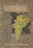 Winorośl
