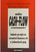Analiza Cash Flow Statement