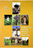 Kapliczki figury krzyże na ziemi lubieńskiej