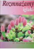 Rozmnażamy iglaki