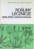 Rośliny lecznicze opis, zbiór, zastosowanie