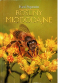 Rośliny miododajne
